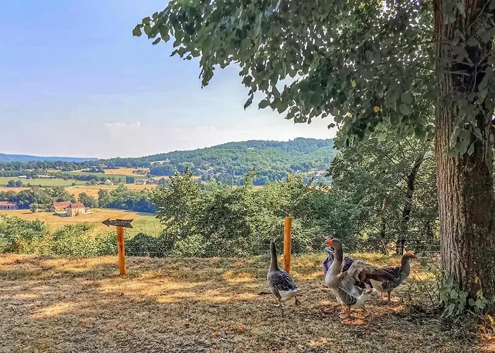 Semesterbostad Amazing In